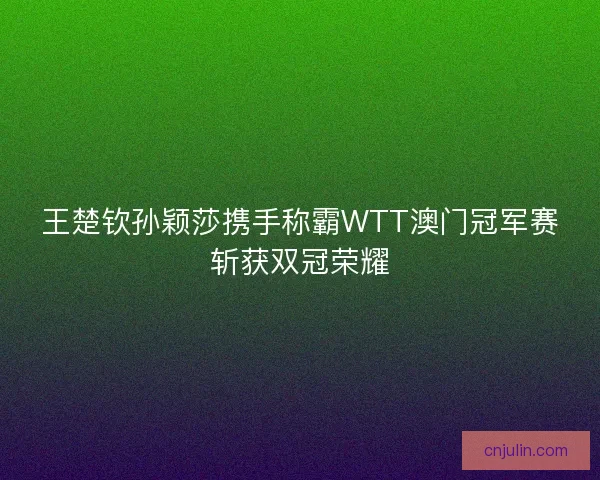 王楚钦孙颖莎携手称霸WTT澳门冠军赛斩获双冠荣耀