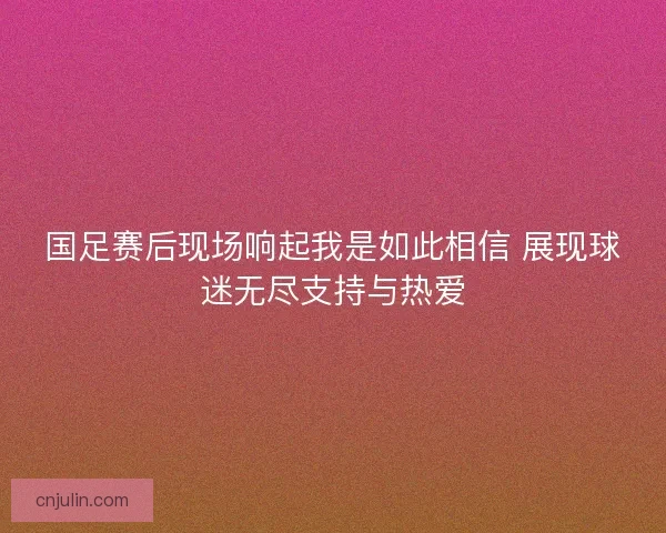 国足赛后现场响起我是如此相信 展现球迷无尽支持与热爱